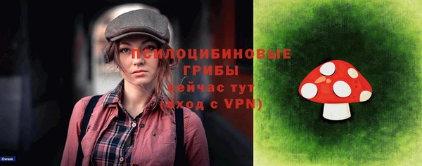 стафф Абдулино
