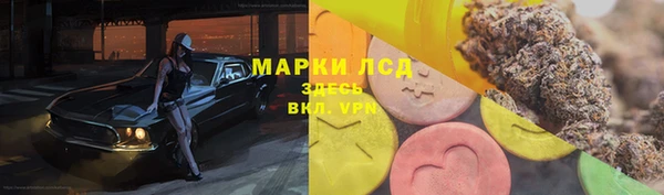 амф Абаза