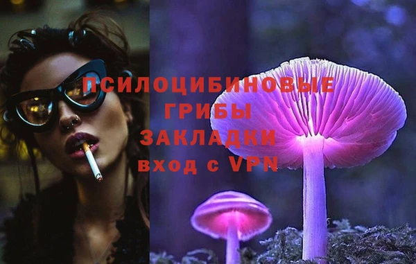 стафф Абдулино