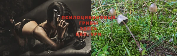 MDMA Новозыбков