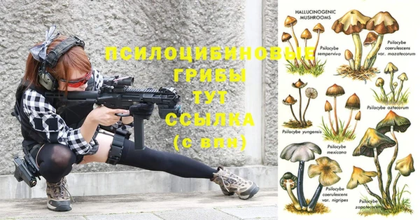 амф Абаза